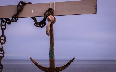 The Anchor Metric – What is the C-Suite’s Ultimate End Game?