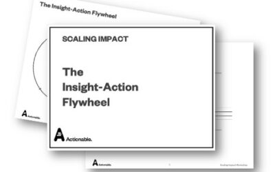 Insight Action Flywheel